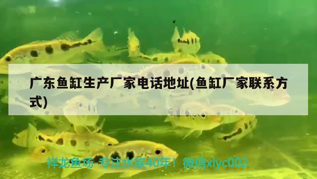 廣東魚缸生產(chǎn)廠家電話地址(魚缸廠家聯(lián)系方式)