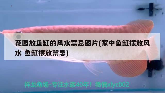 花園放魚缸的風水禁忌圖片(家中魚缸擺放風水魚缸擺放禁忌) 魚缸風水