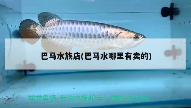 巴馬水族店(巴馬水哪里有賣的)