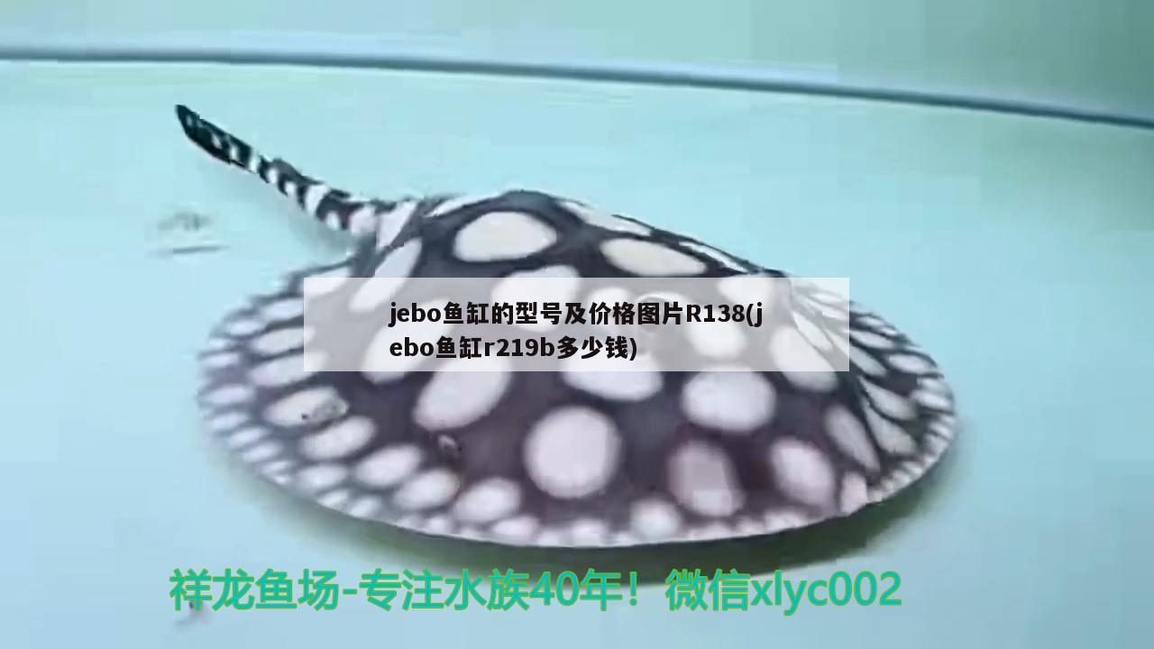 jebo魚(yú)缸的型號(hào)及價(jià)格圖片R138(jebo魚(yú)缸r219b多少錢(qián)) 胭脂孔雀龍魚(yú)