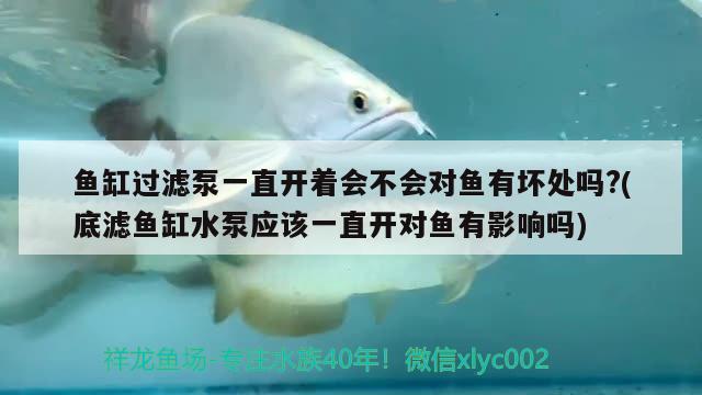 魚缸過濾泵一直開著會(huì)不會(huì)對(duì)魚有壞處嗎?(底濾魚缸水泵應(yīng)該一直開對(duì)魚有影響嗎) 魚缸水泵