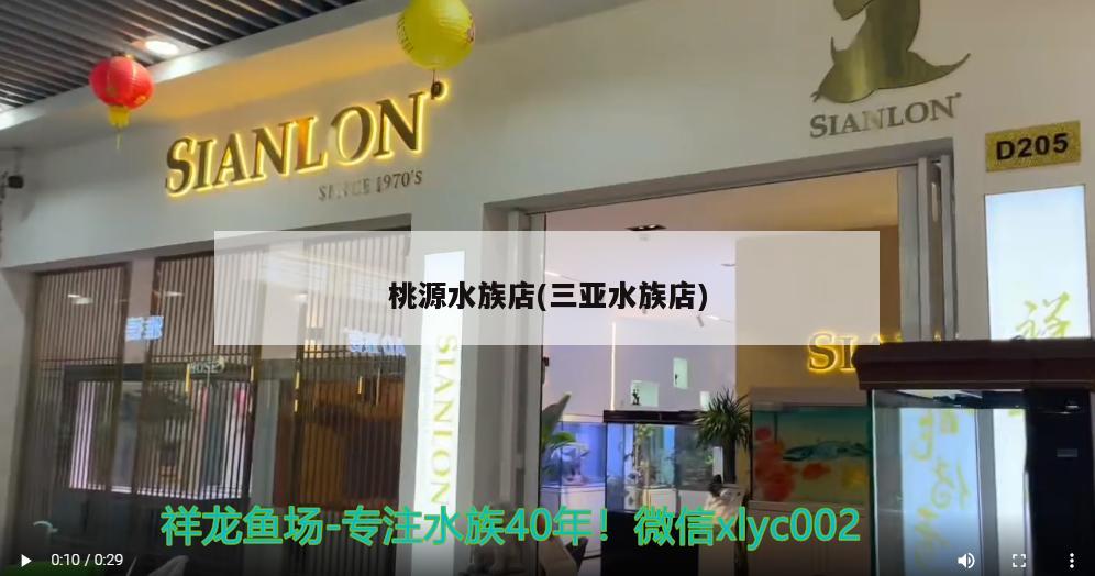 桃源水族店(三亞水族店) 熱帶魚魚苗批發(fā)