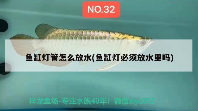 魚缸燈管怎么放水(魚缸燈必須放水里嗎) 泰龐海鰱魚