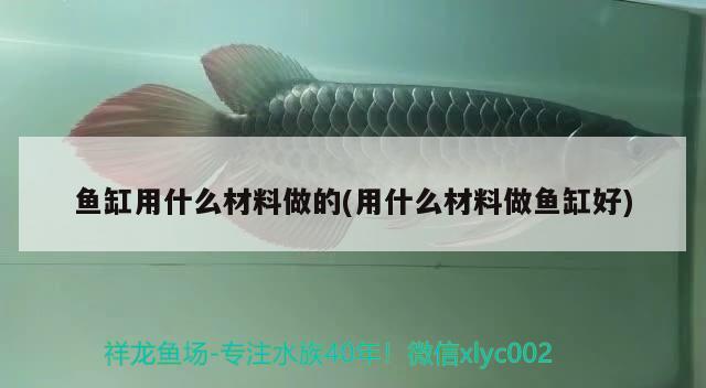 魚缸用什么材料做的(用什么材料做魚缸好) 龍魚芯片掃碼器