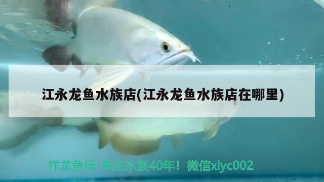 江永龍魚(yú)水族店(江永龍魚(yú)水族店在哪里) 彩鰈魚(yú)缸（彩蝶魚(yú)缸）