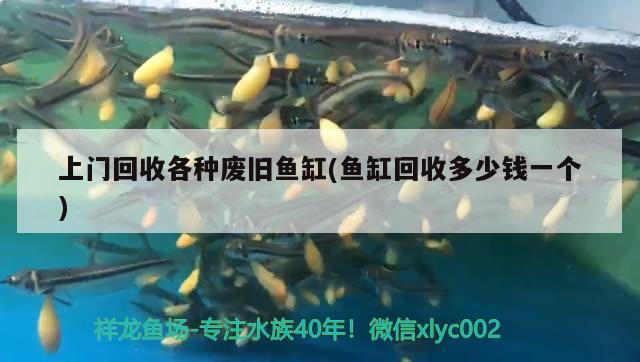 上門回收各種廢舊魚缸(魚缸回收多少錢一個) 殺菌消毒設(shè)備