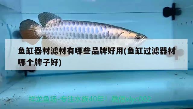 魚缸器材濾材有哪些品牌好用(魚缸過濾器材哪個牌子好) 除藻劑