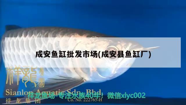 成安魚缸批發(fā)市場(成安縣魚缸廠)