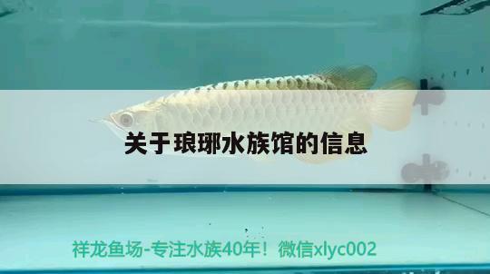 關(guān)于瑯琊水族館的信息 狗仔招財貓魚