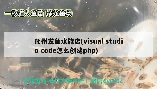 化州龍魚水族店(visualstudiocode怎么創(chuàng)建php) 七彩神仙魚