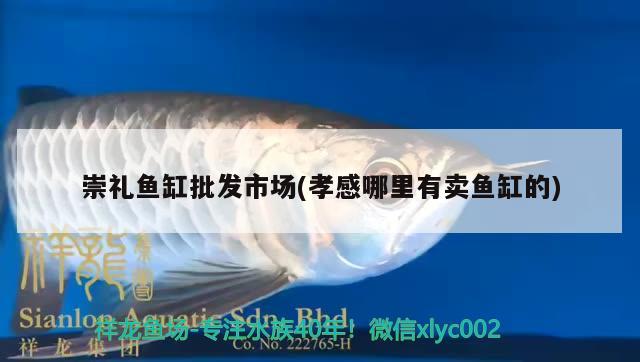 崇禮魚缸批發(fā)市場(chǎng)(孝感哪里有賣魚缸的) 帝王迷宮