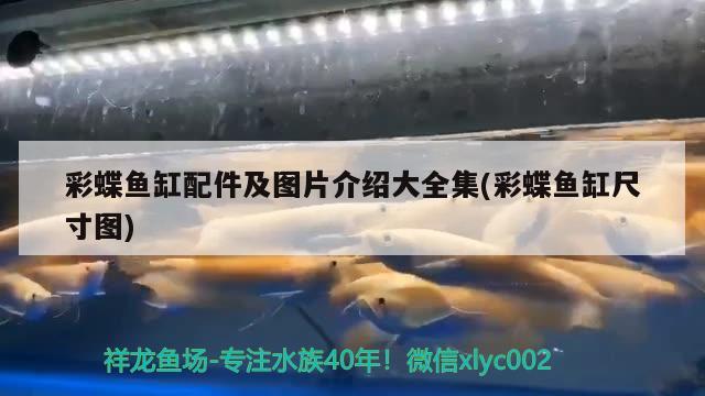 彩蝶魚缸配件及圖片介紹大全集(彩蝶魚缸尺寸圖)