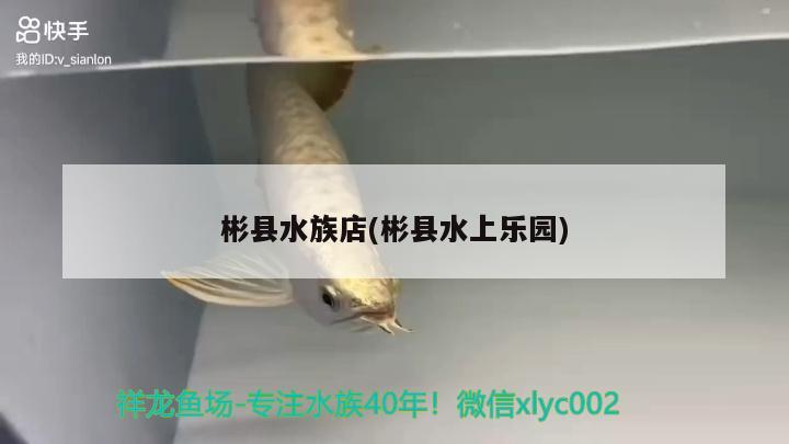 彬縣水族店(彬縣水上樂園) iwish愛唯希品牌魚缸