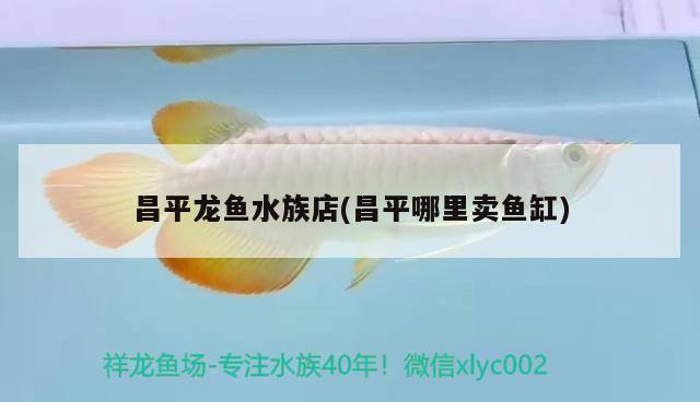 昌平龍魚水族店(昌平哪里賣魚缸) 養(yǎng)魚知識