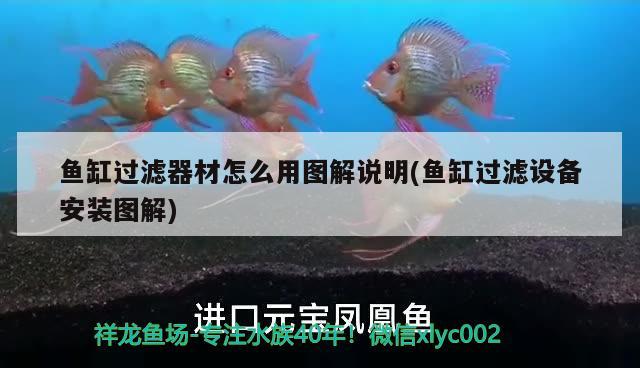 魚缸過濾器材怎么用圖解說明(魚缸過濾設備安裝圖解) 過濾設備