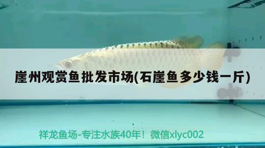 崖州觀賞魚批發(fā)市場(石崖魚多少錢一斤) 觀賞魚批發(fā)