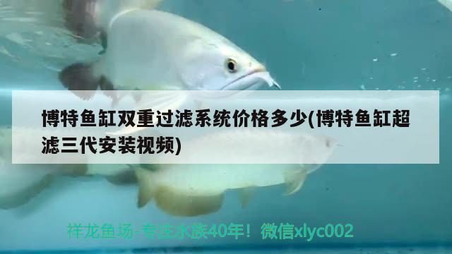 博特魚缸雙重過濾系統(tǒng)價(jià)格多少(博特魚缸超濾三代安裝視頻) 博特水族