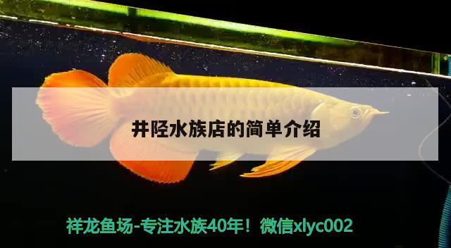 井陘水族店的簡(jiǎn)單介紹 肥料