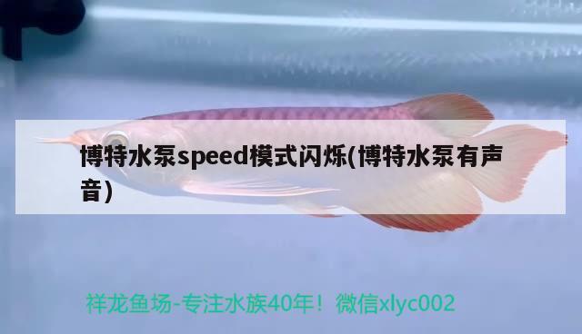 博特水泵speed模式閃爍(博特水泵有聲音)