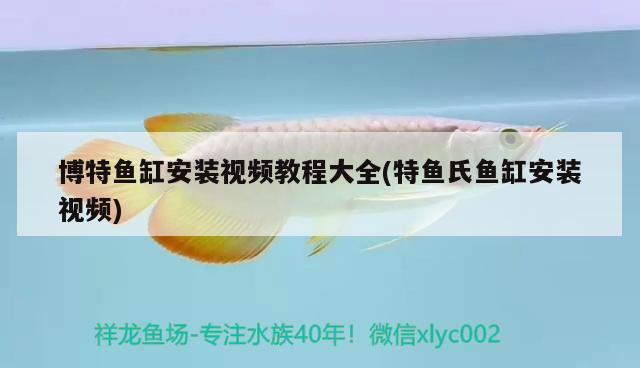 博特魚缸安裝視頻教程大全(特魚氏魚缸安裝視頻) 博特水族