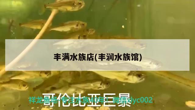 豐滿(mǎn)水族店(豐潤(rùn)水族館) 觀(guān)賞魚(yú)企業(yè)目錄