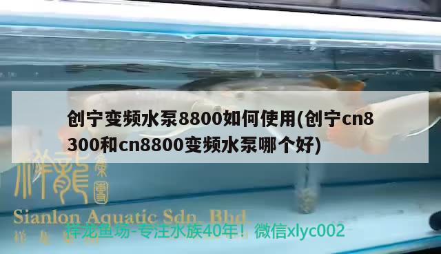 創(chuàng)寧變頻水泵8800如何使用(創(chuàng)寧cn8300和cn8800變頻水泵哪個(gè)好) 創(chuàng)寧水族