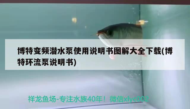 博特變頻潛水泵使用說明書圖解大全下載(博特環(huán)流泵說明書) 博特水族