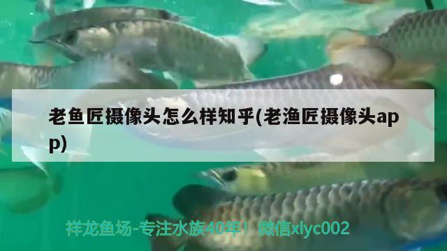 老魚匠攝像頭怎么樣知乎(老漁匠攝像頭app)