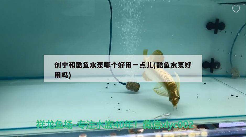 創(chuàng)寧和酷魚水泵哪個好用一點兒(酷魚水泵好用嗎) 創(chuàng)寧水族