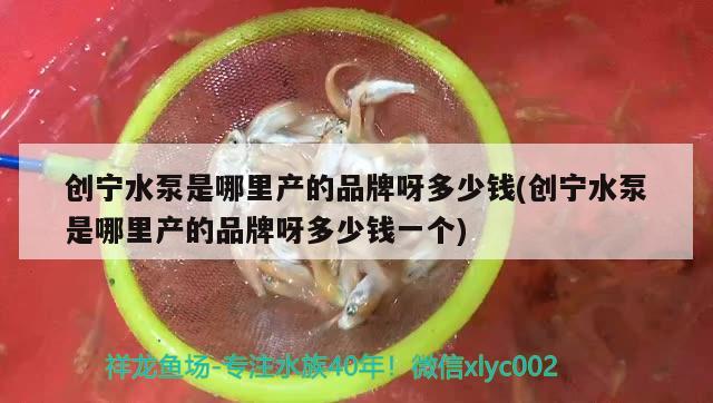 創(chuàng)寧水泵是哪里產(chǎn)的品牌呀多少錢(創(chuàng)寧水泵是哪里產(chǎn)的品牌呀多少錢一個)