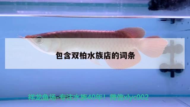 包含雙柏水族店的詞條 九鼎魚缸