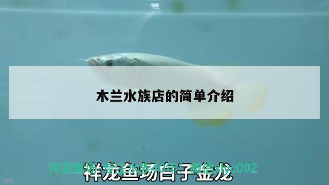 木蘭水族店的簡(jiǎn)單介紹 申古三間魚