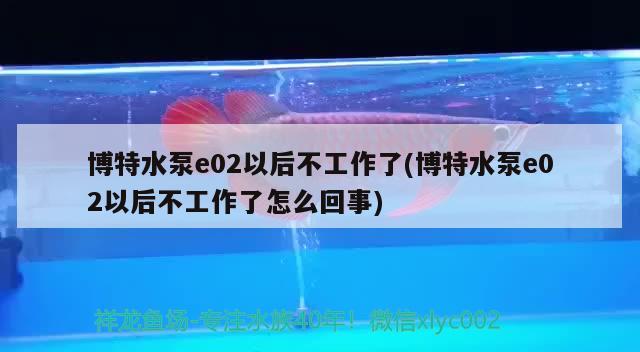 博特水泵e02以后不工作了(博特水泵e02以后不工作了怎么回事) 博特水族