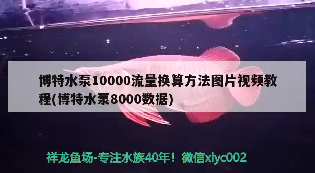 博特水泵10000流量換算方法圖片視頻教程(博特水泵8000數(shù)據(jù)) 博特水族