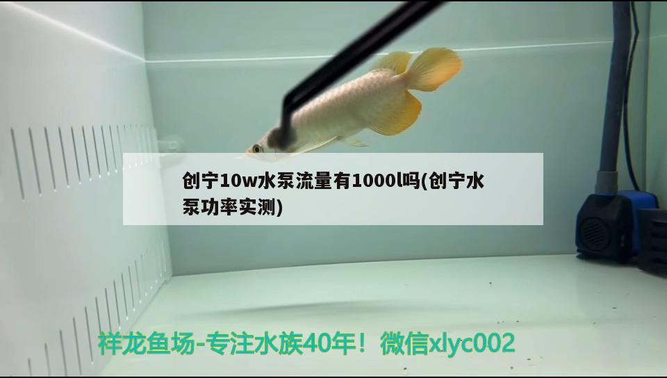 創(chuàng)寧10w水泵流量有1000l嗎(創(chuàng)寧水泵功率實(shí)測(cè)) 創(chuàng)寧水族