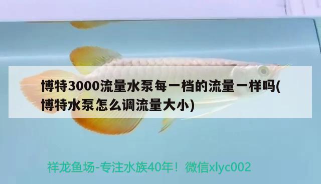 博特3000流量水泵每一檔的流量一樣嗎(博特水泵怎么調(diào)流量大小) 博特水族