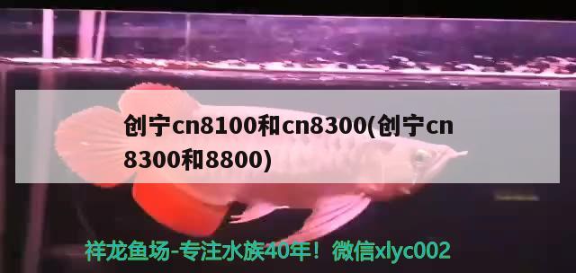 創(chuàng)寧cn8100和cn8300(創(chuàng)寧cn8300和8800) 創(chuàng)寧水族