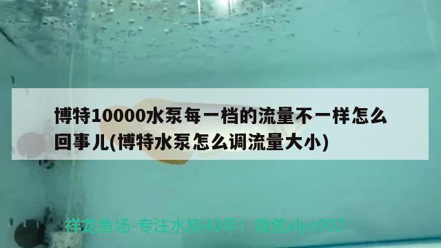 博特10000水泵每一檔的流量不一樣怎么回事兒(博特水泵怎么調(diào)流量大小) 博特水族