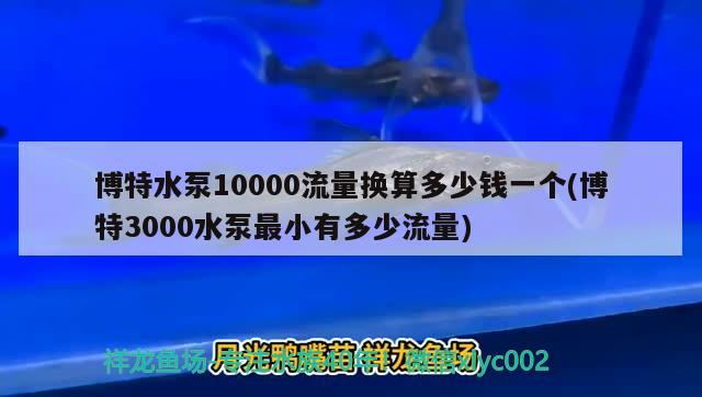 博特水泵10000流量換算多少錢一個(博特3000水泵最小有多少流量)