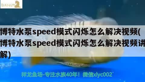 博特水泵speed模式閃爍怎么解決視頻(博特水泵speed模式閃爍怎么解決視頻講解) 垂釣樂園