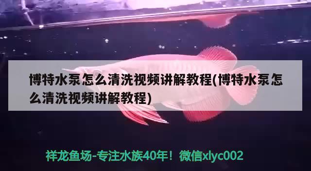 博特水泵怎么清洗視頻講解教程(博特水泵怎么清洗視頻講解教程)