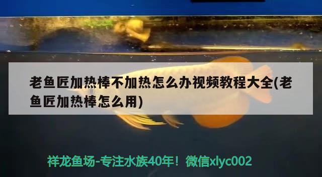 老魚匠加熱棒不加熱怎么辦視頻教程大全(老魚匠加熱棒怎么用) 老魚匠