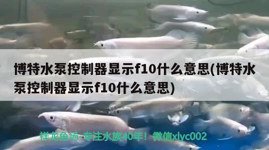 博特水泵控制器顯示f10什么意思(博特水泵控制器顯示f10什么意思) 博特水族