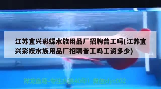 江蘇宜興彩蝶水族用品廠招聘普工嗎(江蘇宜興彩蝶水族用品廠招聘普工嗎工資多少) 水族用品 第2張