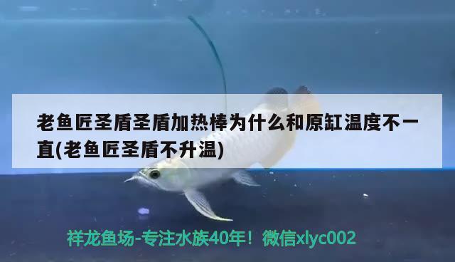 老魚(yú)匠圣盾圣盾加熱棒為什么和原缸溫度不一直(老魚(yú)匠圣盾不升溫) 老魚(yú)匠