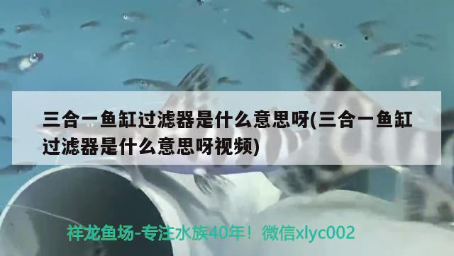 三合一魚缸過濾器是什么意思呀(三合一魚缸過濾器是什么意思呀視頻) 肥料