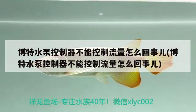 博特水泵控制器不能控制流量怎么回事兒(博特水泵控制器不能控制流量怎么回事兒) 博特水族