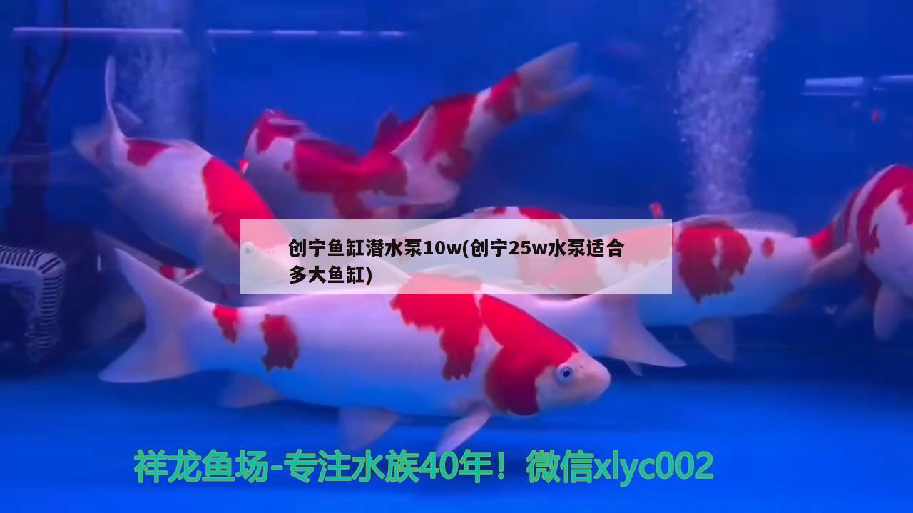 創(chuàng)寧魚缸潛水泵10w(創(chuàng)寧25w水泵適合多大魚缸)