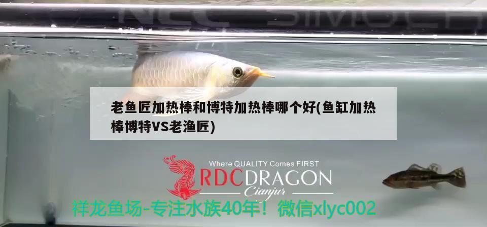 老魚匠加熱棒和博特加熱棒哪個好(魚缸加熱棒博特VS老漁匠)