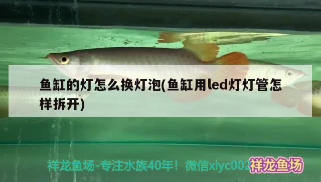 魚缸的燈怎么換燈泡(魚缸用led燈燈管怎樣拆開)